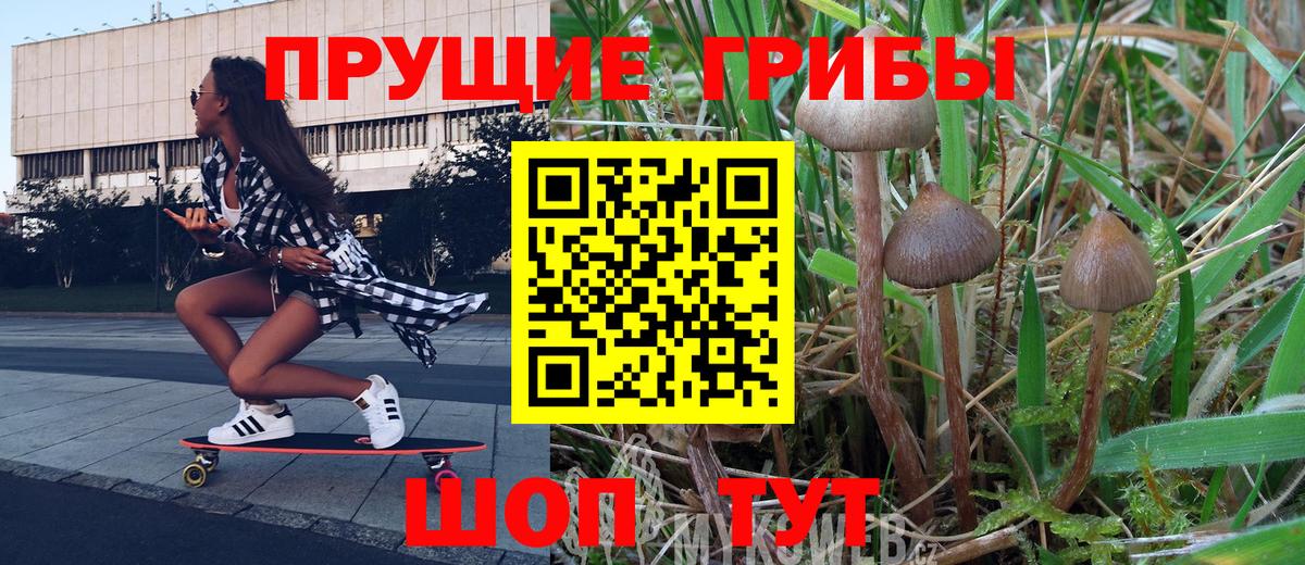 Галлюциногенные грибы Cubensis Электросталь