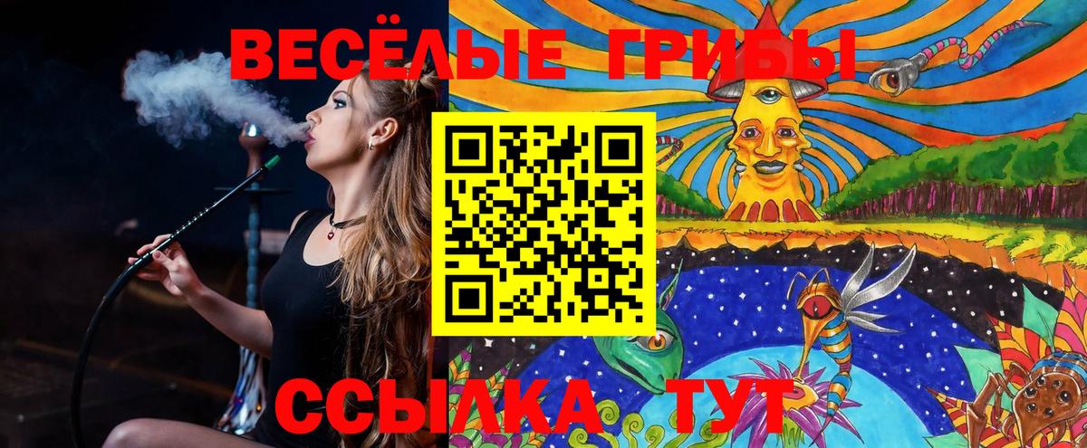 Псилоцибиновые грибы прущие грибы  Галлюциногенные грибы Psilocybe  Электросталь  Вход с VPN 